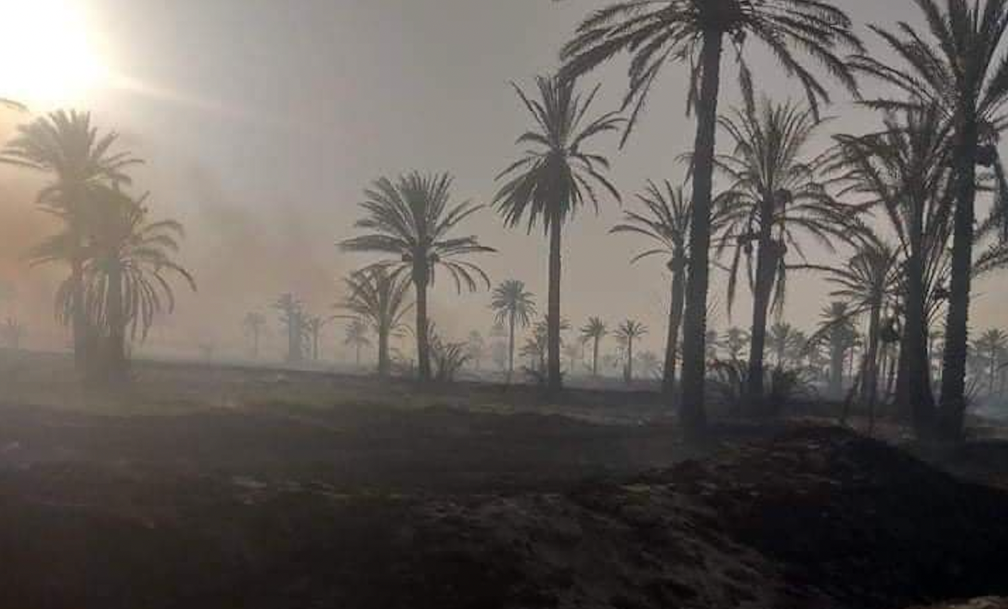 حريق-كبير-يلتهم-بساتين-في-المثنى-و4-فرق-تهرع-لإخماده-(فيديو)